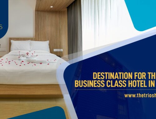 Destination for the Best Business class hotel in Kochi